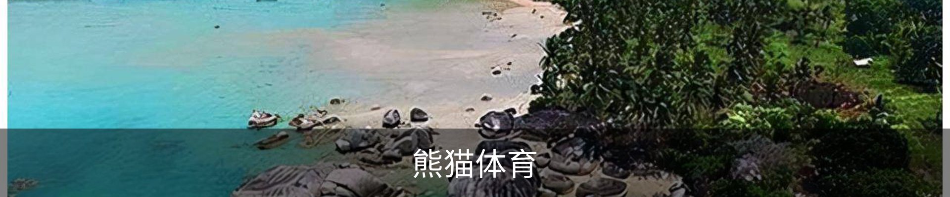熊猫体育